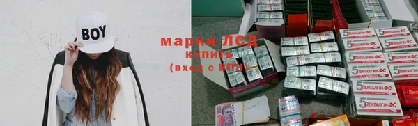 ешки Новодвинск