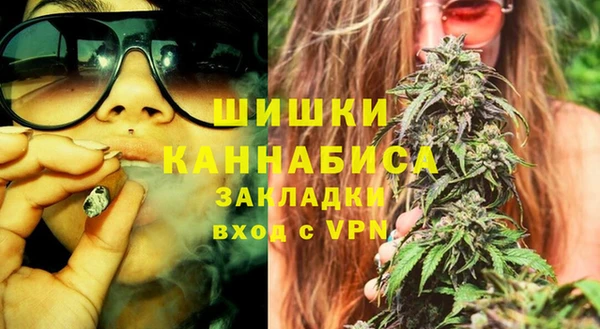 ALPHA PVP Новозыбков