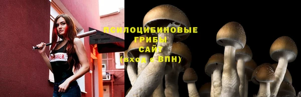 круглые Новокубанск