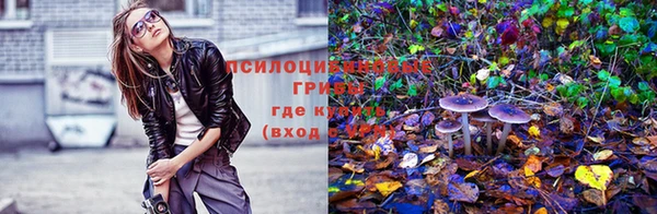 круглые Новокубанск