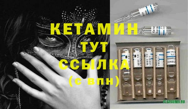 ешки Новодвинск