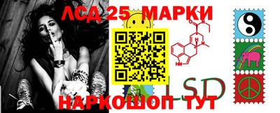 шишки Донецк