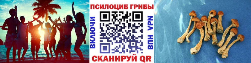 Галлюциногенные грибы прущие грибы Муравленко
