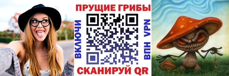 магазин    Муравленко  Галлюциногенные грибы MAGIC MUSHROOMS 