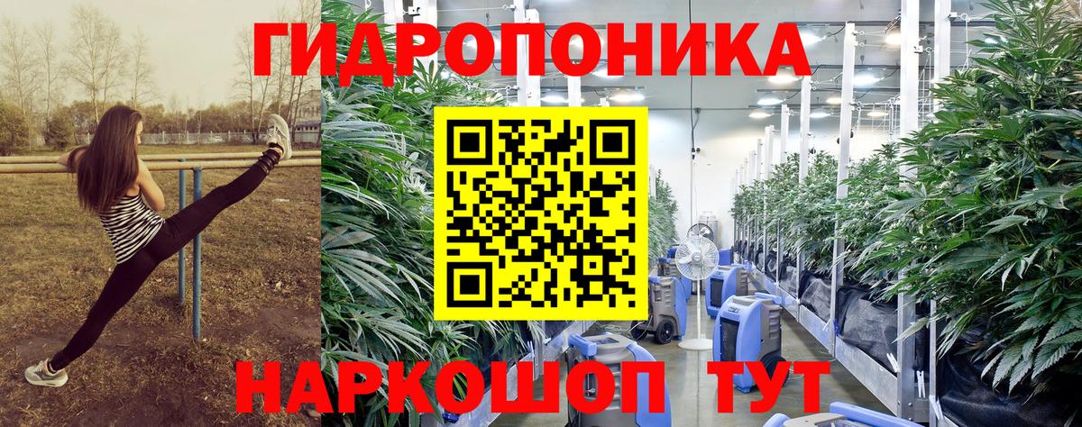 Конопля семена Муравленко